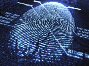 Polícia Civil cria Núcleo de Inteligência que fortalece combate ao crime