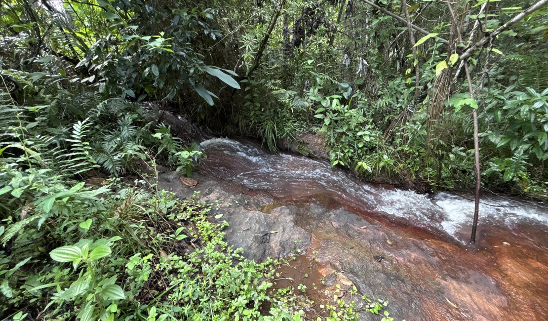 Rota do Cacau amplia ecoturismo e preservação ambiental em Matriz de Camaragibe