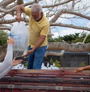 Arapiraca: Prefeitura ultrapassa 100 mil alevinos distribuídos a produtores locais