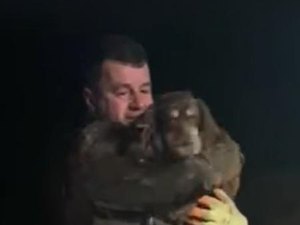 Dono chora ao resgatar cachorrinha surda que ficou presa por 30h em buraco