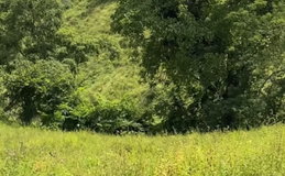 Corpo de idoso que estava desaparecido é encontrado na zona rural de Palmeira