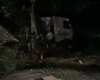 Caminhão colide em árvore e sai da pista no município de São Miguel dos Campos