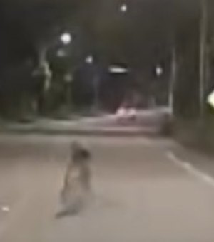 Delegado faz alerta após vídeo de homem deitado em rodovia de Maceió