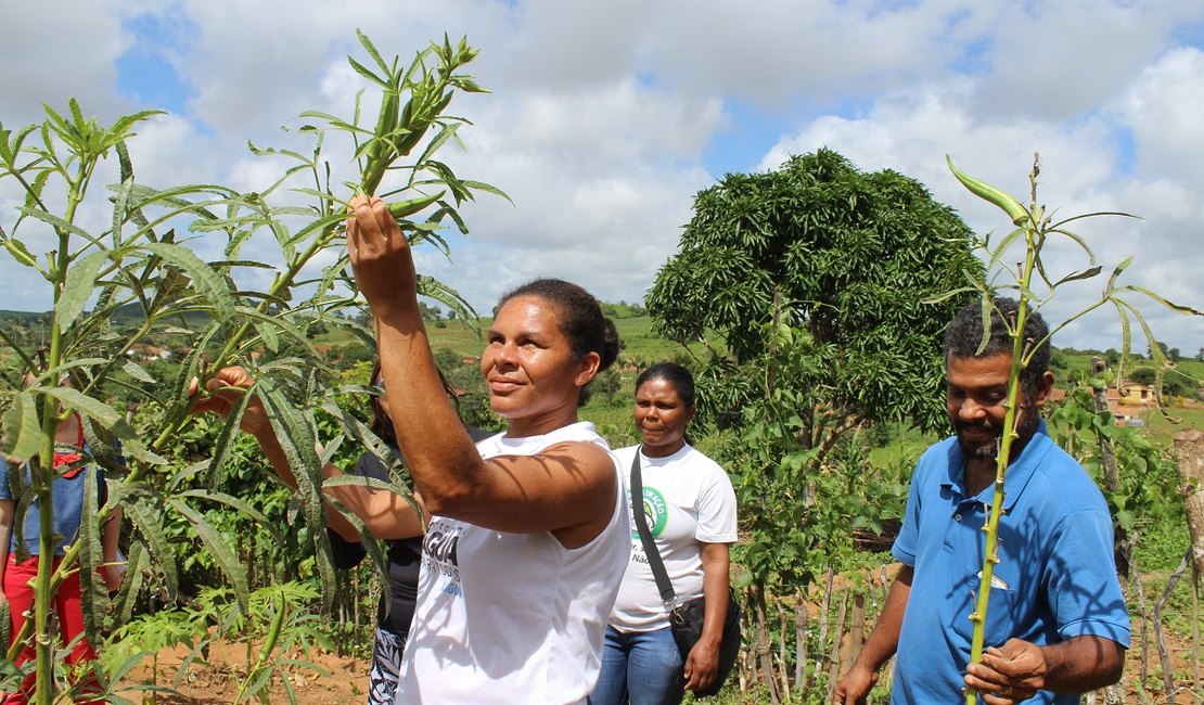 Prefeitura orienta produção de hortaliças em comunidade remanescente quilombola
