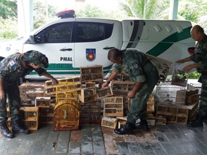 Operação resgata aves silvestres em feira livre