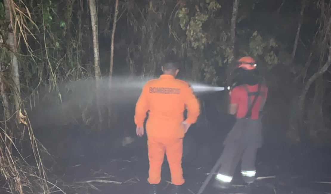 Além de incêndio na Serra da Barriga, bombeiros apagaram fogo em poste, em União