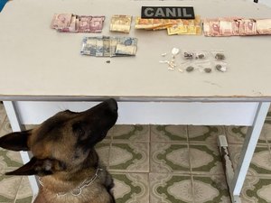 Abordagem com cão da Polícia Militar em Arapiraca resulta em prisão por tráfico de drogas