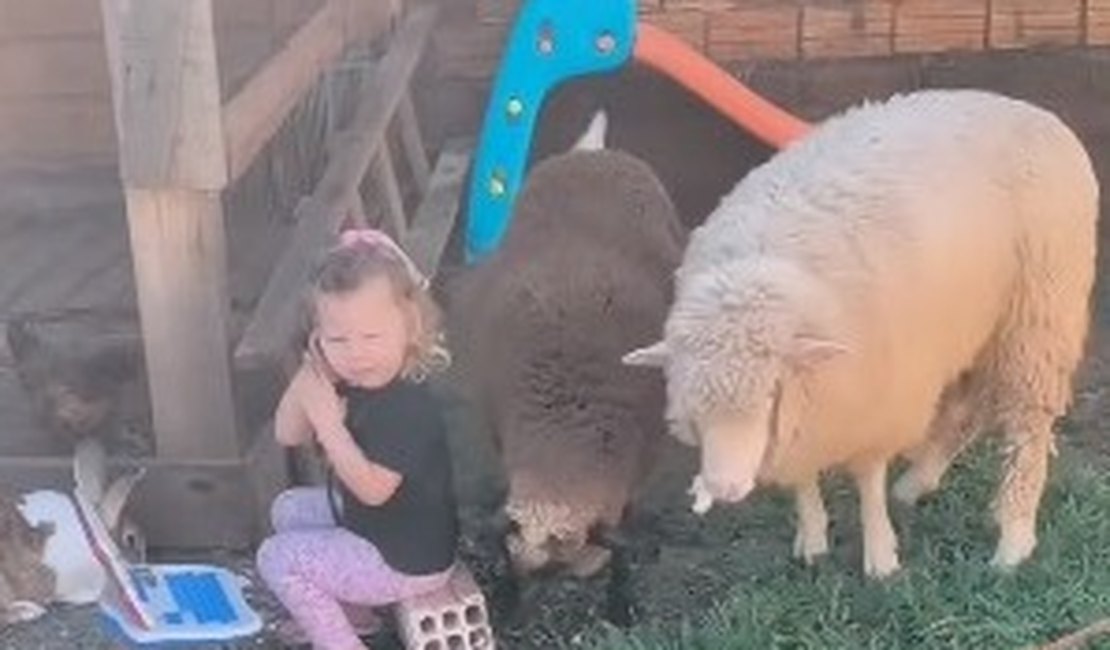 Menina de 2 anos encanta a web ao brincar de veterinária com muita criatividade