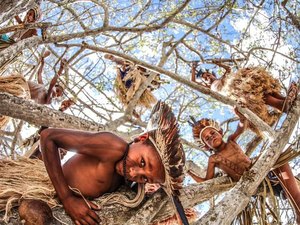 Polícia Federal instaura inquérito policial para apurar ameaças às lideranças indígenas em Água Branca