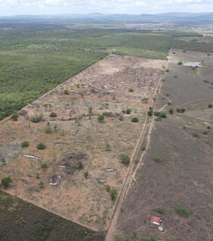 Operação flagra e embarga 700 hectares de desmatamento no bioma Caatinga