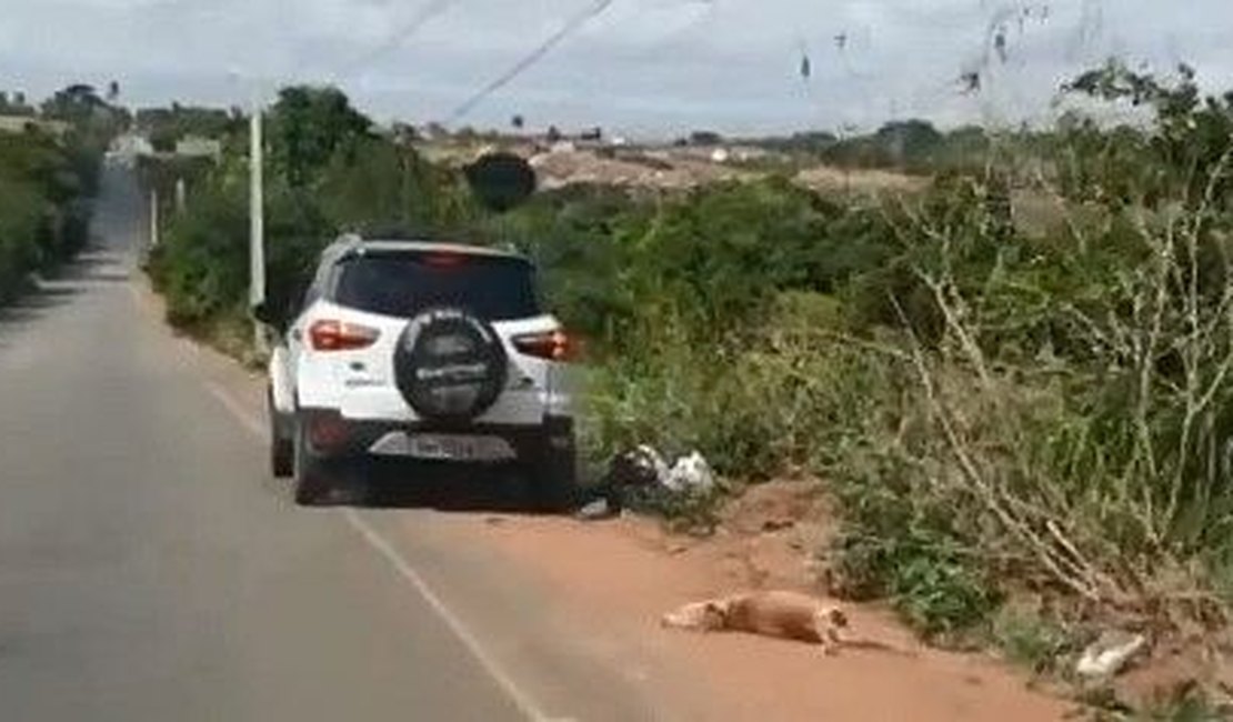 [Vídeo] Crueldade:  Cachorro é amarrado em veículo e arrastado  por rodovia, em Arapiraca