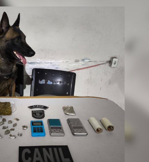 Operação contra o crime organizado em Arapiraca prende suspeitos e apreende drogas 