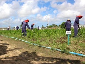 Disciplina, educação e trabalho ampliam horizontes de reeducandos em Alagoas