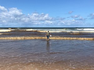 IMA esclarece sobre surgimento de manchas nas praias do Pontal e Sobral