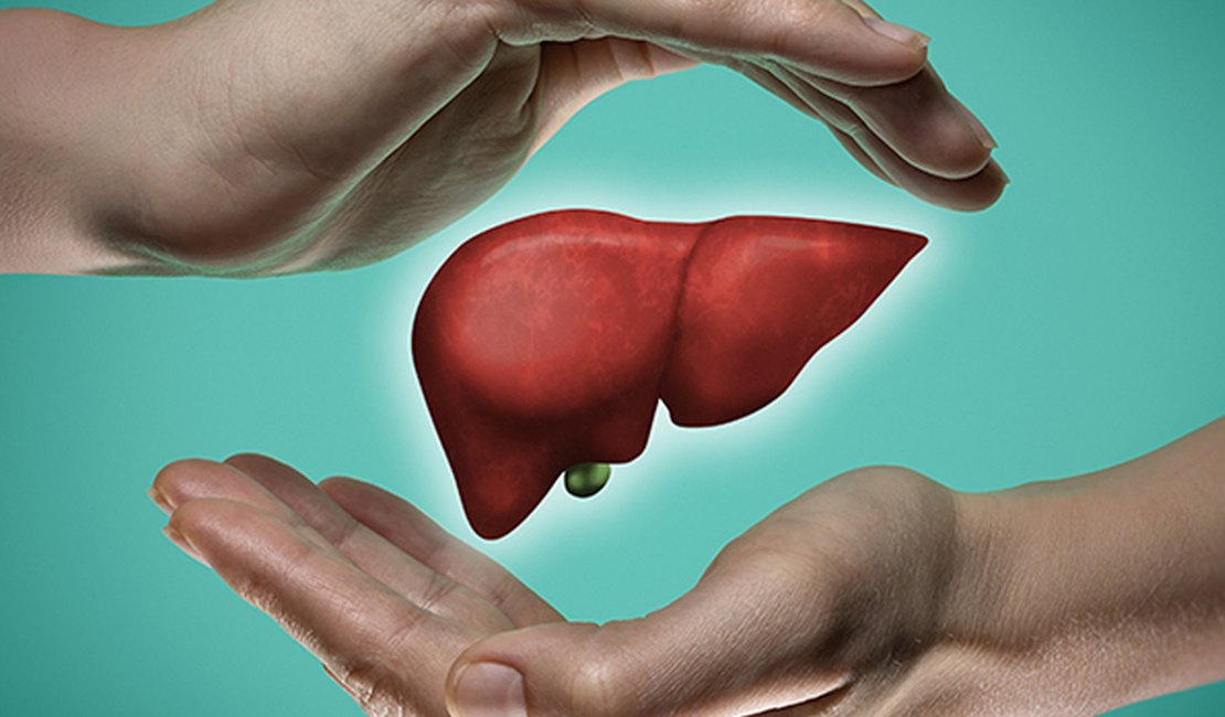 Ministério da Saúde credencia Santa Casa de Maceió para transplantes de fígado