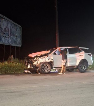 Carro do prefeito de Matriz de Camaragibe colide contra cavalo na AL-105