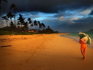 Helicóptero de turismo com 7 pessoas desaparece no Havaí