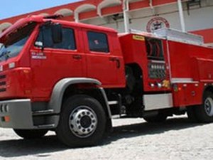 Bombeiros resgatam cachorros que caíram em buraco, em Maceió 
