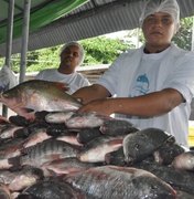 Feira do Peixe Vivo começa nesta quarta-feira (23)