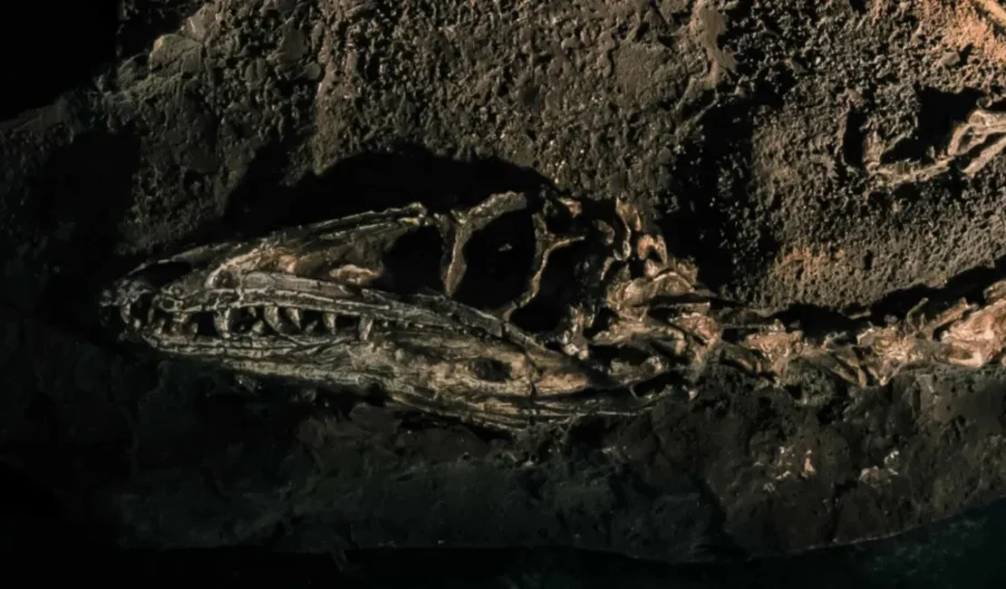 Fóssil descoberto no Brasil lança luz sobre origem dos dinossauros