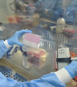 Brasil avança em pesquisas de vacina contra o coronavírus