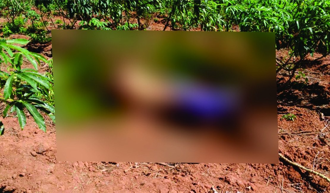 Duplo homicídio: corpos em decomposição são achados em Limoeiro de Anadia