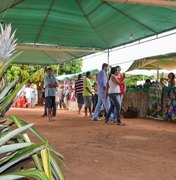 I Festival do Abacaxi reune produtores de sete municípios do Agreste