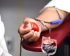 CRA-AL promove campanha de doação de sangue e medula óssea em parceria com o Hemopac