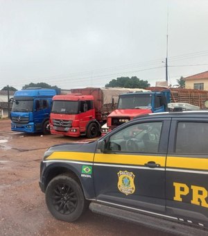 PRF apreende 31 mil tijolos por crime tributário em São Sebastião
