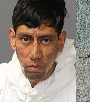 Homem surpreende polícia e diz que barata o convenceu a cometer crime