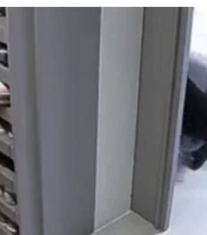 Câmeras flagram suspeitos invadindo condomínio e furtando apartamento na Ponta Verde