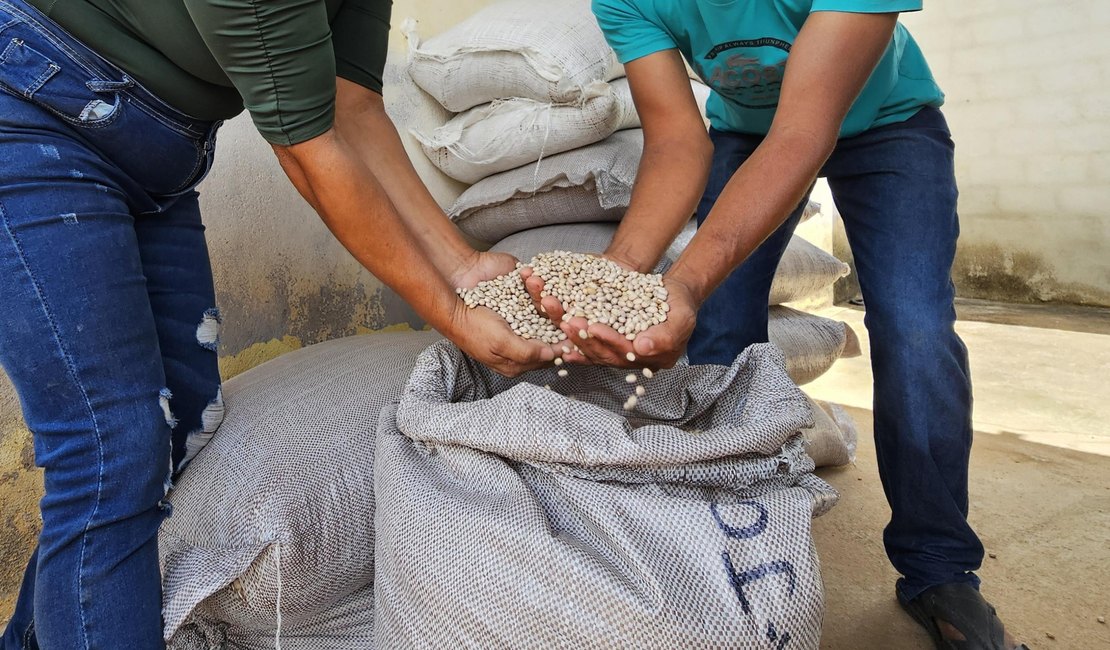 Emater atende 9 mil agricultores familiares no primeiro semestre de 2025