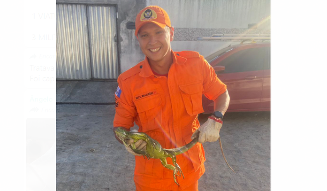 Bombeiros retiram Iguana de motor de carro em Arapiraca