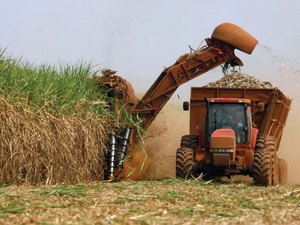 Fornecedores de cana-de-açúcar se reúnem para tratar dívidas de usinas