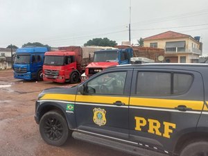 PRF apreende 31 mil tijolos por crime tributário em São Sebastião