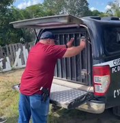 [Vídeo] Polícia prende homem por crimes de maus-tratos e zoofilia em Murici