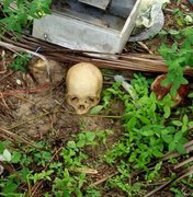 Crânio humano encontrado no Pontal do Peba pode ser de jovem desaparecida