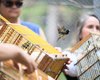 De volta à natureza: aves ganham liberdade no Dia da Consciência Negra