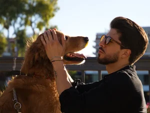 Empresa quer lançar tradutor de sons e gestos de animais para humanos