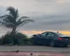 Motorista perde controle, invade calçada e derruba coqueiro na orla de Jatiúca