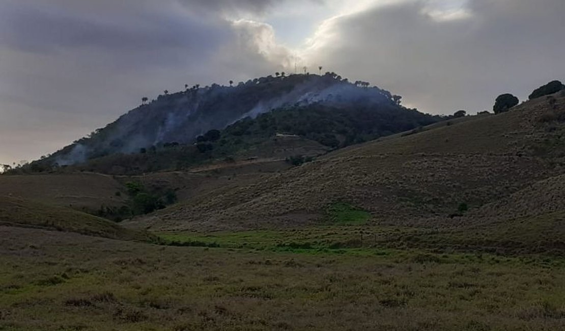Fogo atinge vegetação na Serra da Barriga, em União dos Palmares  