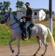 Arapiraca vai sediar primeira exposição do cavalo Mangalarga Marchador