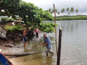 Pescadores encontram peixes e crustáceos mortos na Lagoa Manguaba