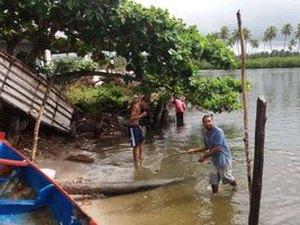 Poluentes foram as causas da morte de peixes na Lagoa Manguaba, diz Ufal