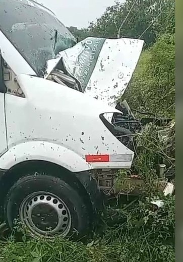 Van colide com dois cavalos soltos na pista em Maravilha, Alagoas