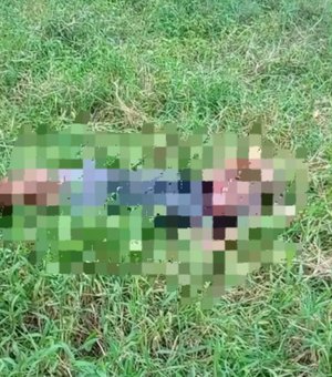 Homem é preso por tentar matar vítima com golpes de foice em São Luís do Quitunde