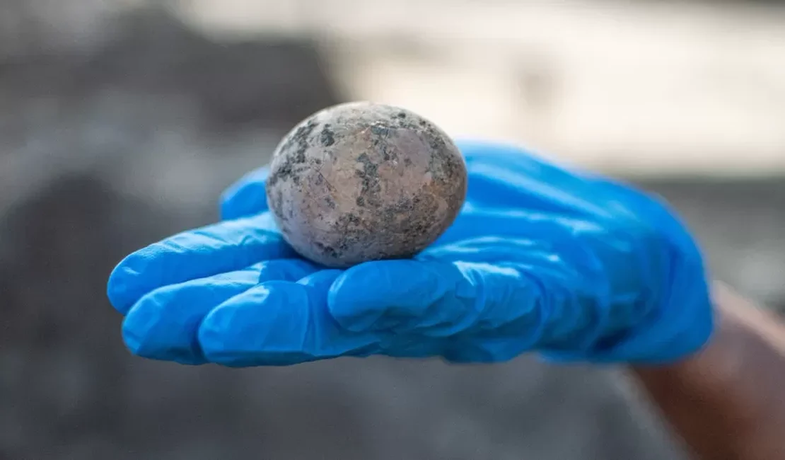 Arqueólogos quebram sem querer raro ovo de mil anos achado em Israel