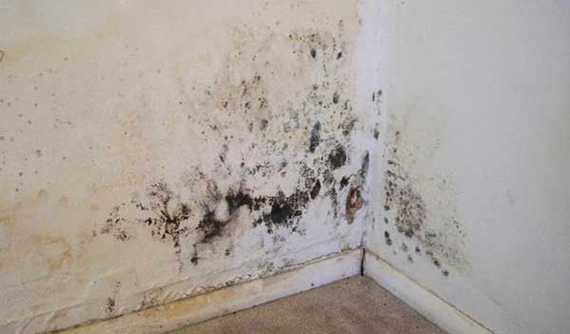 Arapiraquenses relatam infestação de mofo em paredes, teto, armários e roupas