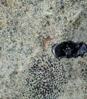 Novas manchas de óleo são encontradas na Praia do Francês, em Alagoas