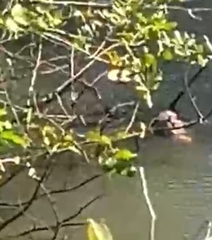 Corpo é encontrado em rio no povoado Santa Luzia, na Barra de Santo Antônio
